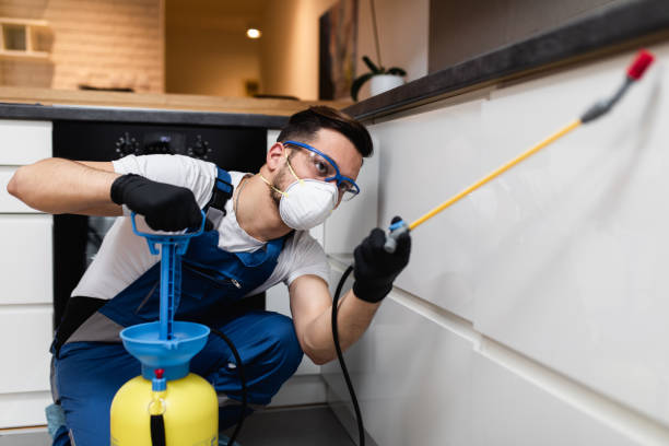 Best Affordable Pest Control Services  in Wellsville, MO