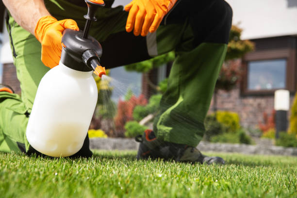 Best Affordable Pest Control Services  in Wellsville, MO