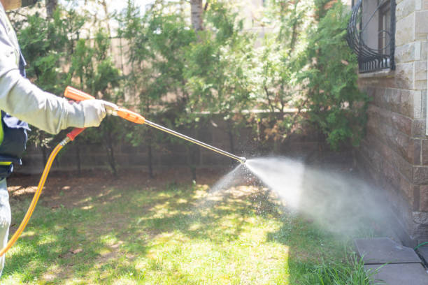 Best Best Pest Control Near Me  in Wellsville, MO