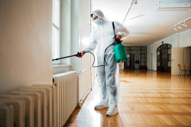 Best Pest Control Near Me in Wellsville, MO