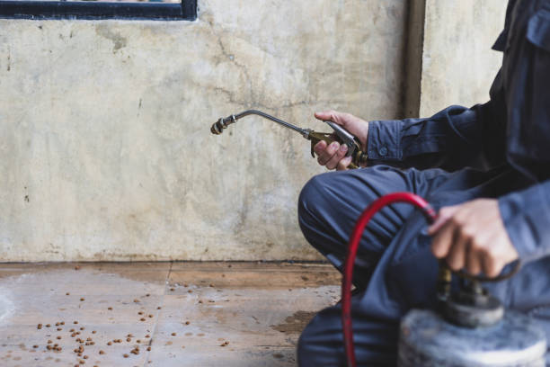 Best Best Pest Control Companies  in Wellsville, MO